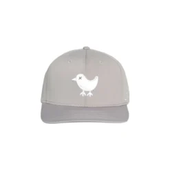 Bad Birdie Birdie Snapback Hat -Cheap The Tee Crest Store bad birdie birdie snapback hat grey 01 96024.1655324235