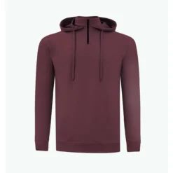 SWANNIES VanDyke Hoodie 8 SWANNIES VanDyke Hoodie -Cheap The Tee Crest Store swannies vandyke hoodie maroon 01 80897.1679426278